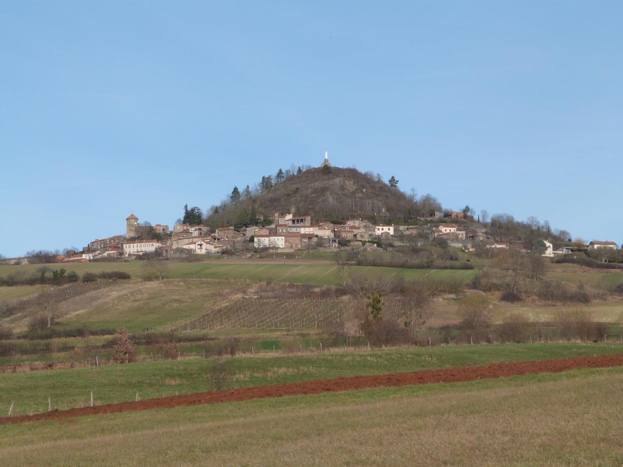 Chateau Des Aiguilles Saint-Remy-de-Chargnat Экстерьер фото
