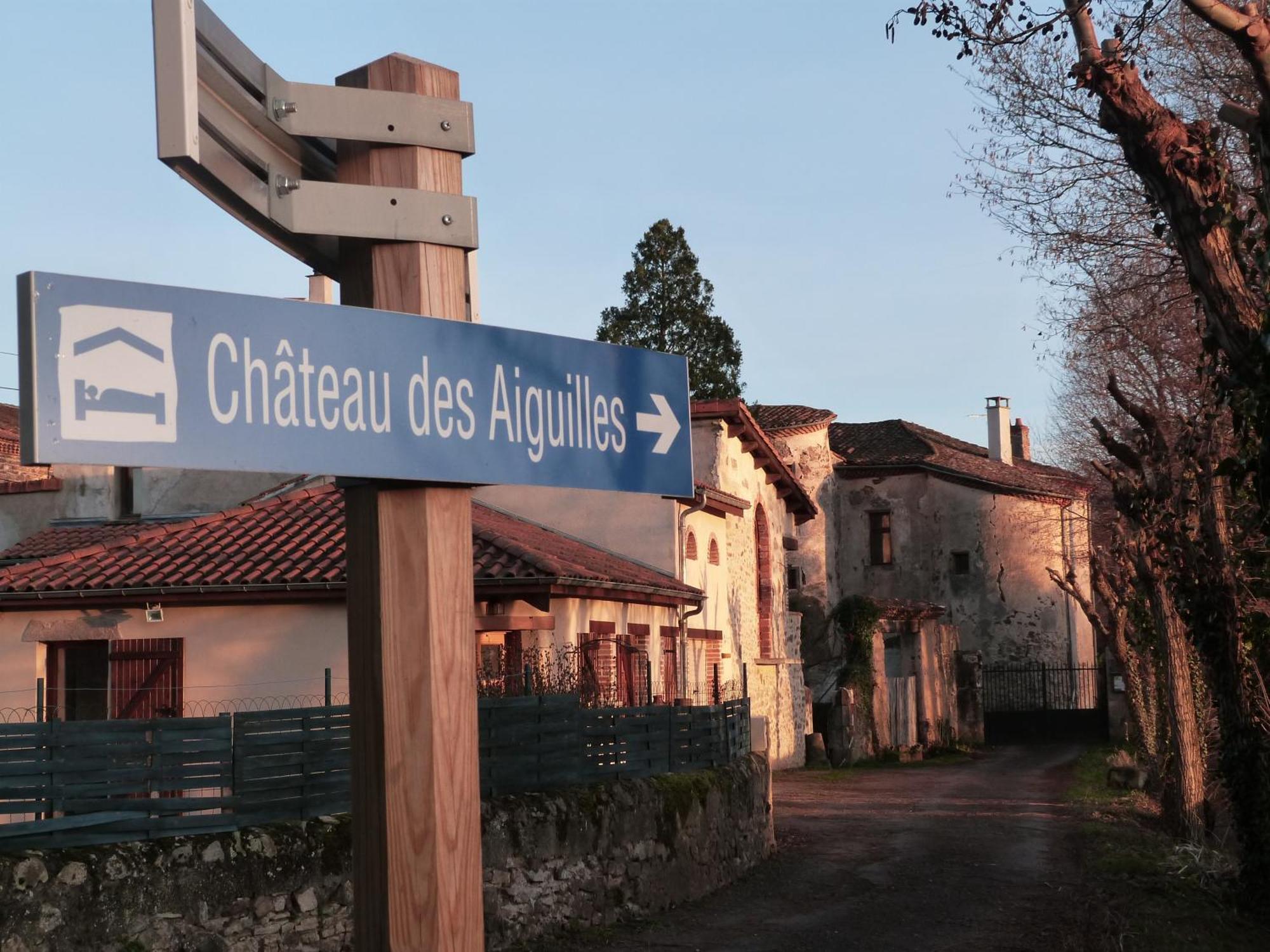 Chateau Des Aiguilles Saint-Remy-de-Chargnat Экстерьер фото
